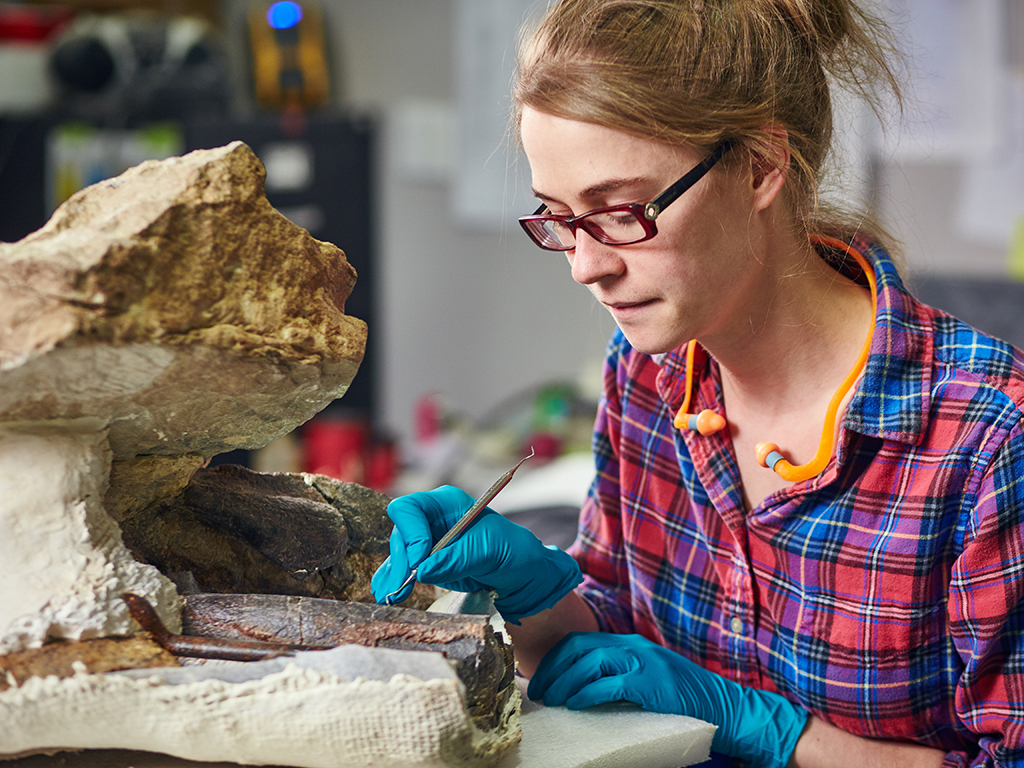 Fossil Preparation, Restoration, & Conservation Research Casting International