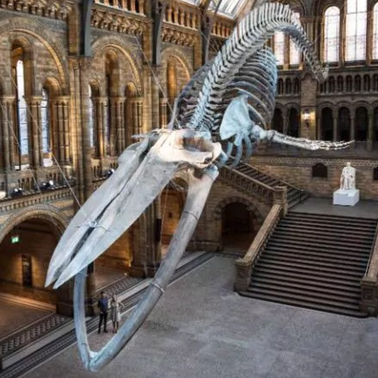 Какие музеи есть в лондоне