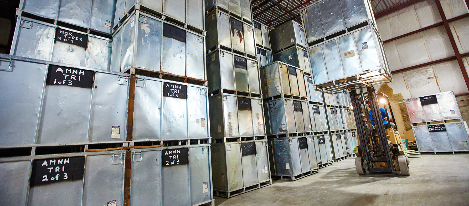RCI stores hundreds of specimen molds