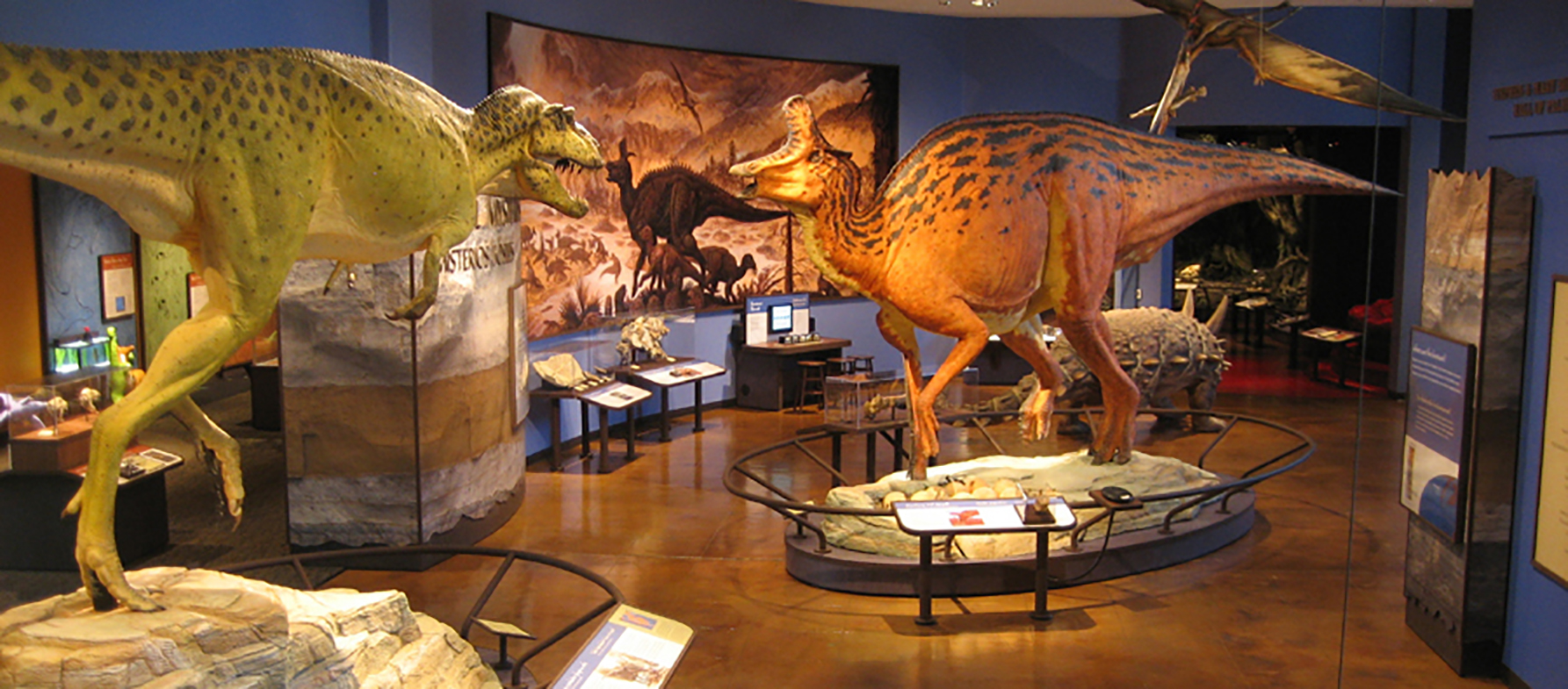 half_fleshed_Albertosaurus_Lambeosaurus_San_Diego_NHM